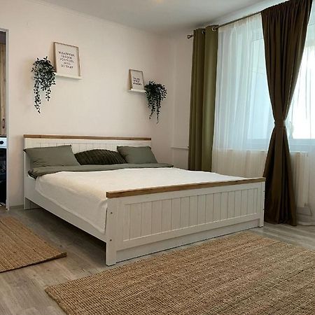 Carol Apartament'S Temesvár Kültér fotó