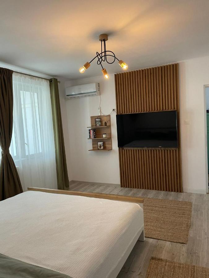 Carol Apartament'S Temesvár Kültér fotó