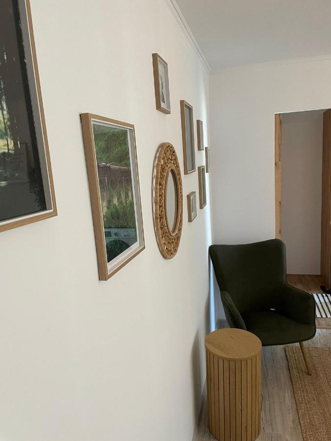 Carol Apartament'S Temesvár Kültér fotó