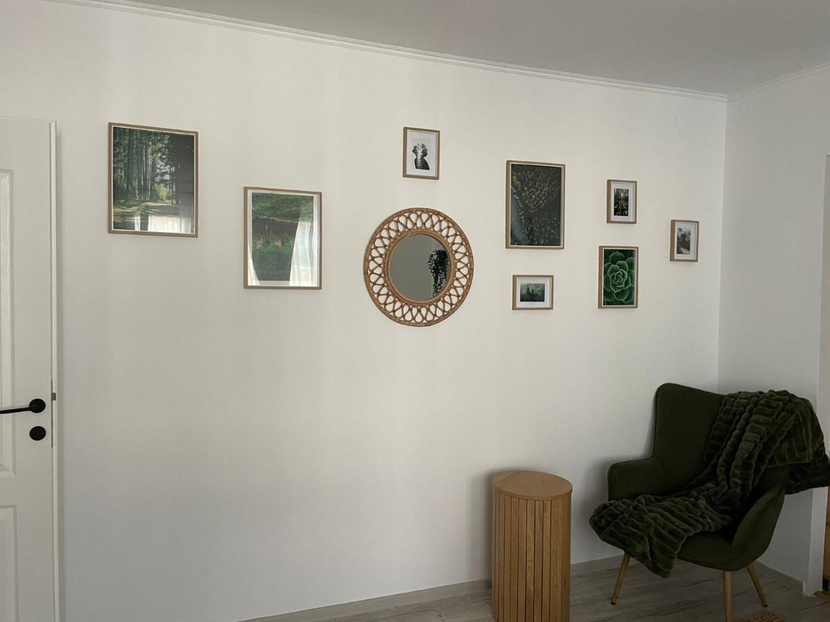 Carol Apartament'S Temesvár Kültér fotó